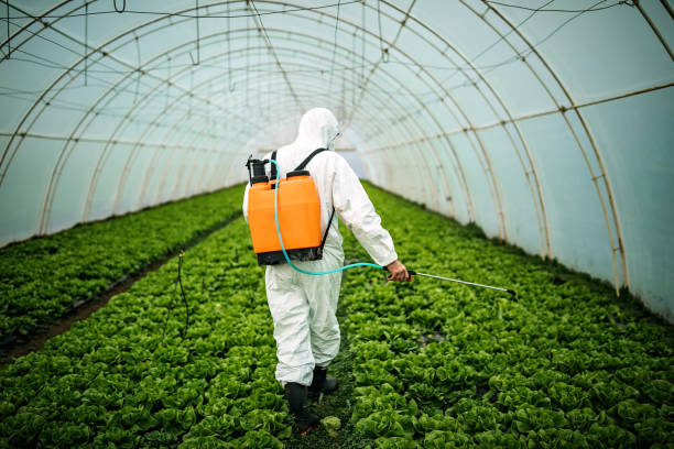 Best Mosquito Control Services  in Los Fresnos, TX