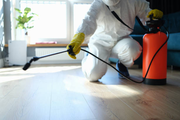 Best Termite Control Services  in Los Fresnos, TX